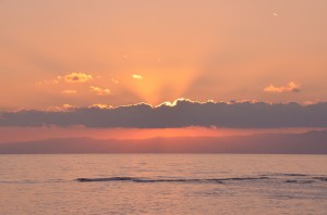 _DSC4275