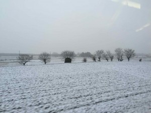 雪 亀岡