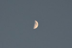 20160909%e5%8d%8a%e6%9c%88dsc_0033