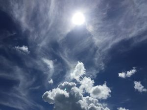 img_7651