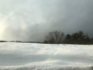 IMG_2830
